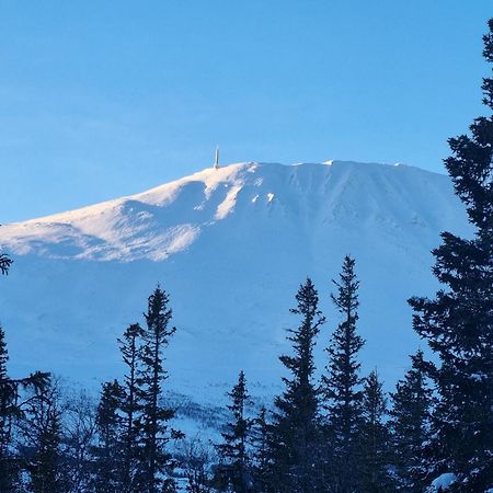 Ny Leilighet Med Flott Utsikt Til Gaustatoppen Р'юкан Екстер'єр фото