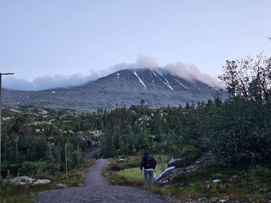 Ny Leilighet Med Flott Utsikt Til Gaustatoppen Р'юкан Екстер'єр фото